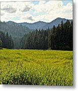 Fish Lake - Open Field Metal Print