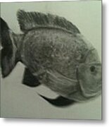 Fish Metal Print