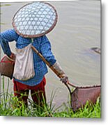 Fisherwomen In Rice Fields Metal Print