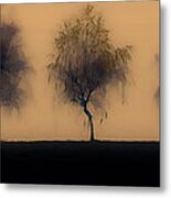 Five Willowy Trees Metal Print