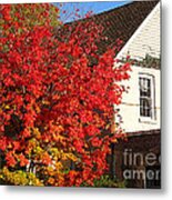 Flaming Fall Colours On Farm House Metal Print