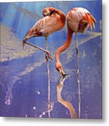 Flamingo Fantasy Lights Metal Print