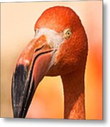 Flamingo In The Sun Metal Print