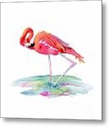 Flamingo View Metal Print