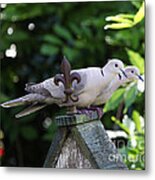 Fleur De Lis Dove Love Metal Print