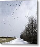 Flight Metal Print