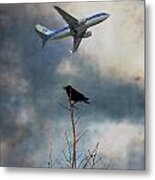 Flight Metal Print