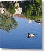 Floating In Reflections Metal Print