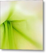 Floral Abstract Metal Print