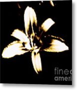 Floral Metal Print