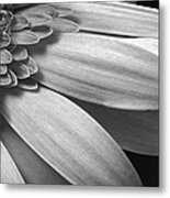 Floral Detail Metal Print