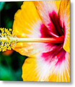 Flower Macro 2 Metal Print