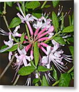 Flower Wheel Metal Print