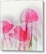 Flowers Metal Print