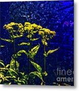 Flowers In The Blue Metal Print