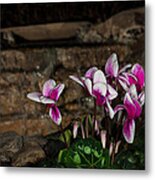 Flowers With Waterfall Backdrop Metal Print