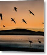 Fly-in At Sunset Metal Print