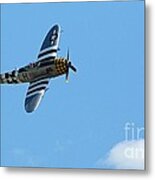 Flying High Metal Print