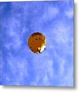 Flying High Metal Print