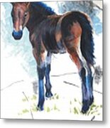 Foal Painting Metal Print