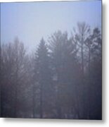 Fog And Mist Metal Print