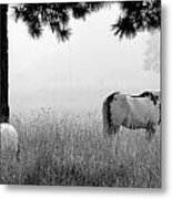 Fog Bound Metal Print