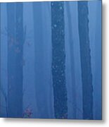 Foggy Blues Metal Print