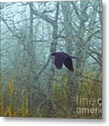 Foggy Flight Metal Print