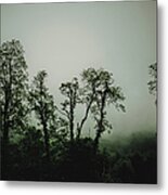 Foggy Mountain Morning At The Meadows Of Dan Metal Print