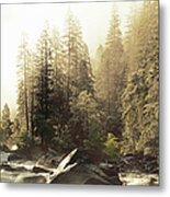 Foggy Sky Over Spring Creek In Yosemite Metal Print