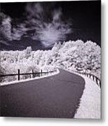 Infrared Through The Trees Metal Print
