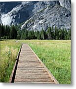 Footpath In Yosemite National Park Metal Print