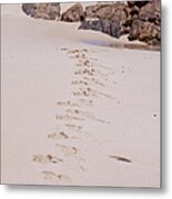 Footprints In The Sand Metal Print
