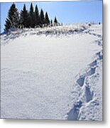 Footprints In The Snow Metal Print