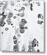 Footprints Metal Print