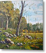 Forest Clearing Metal Print