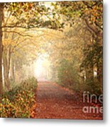 Forest Colors Metal Print