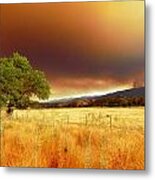 Forest Fire Smoke Over Pasture And Oak Metal Print