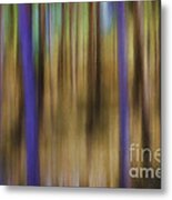 Forest For The Trees Metal Print