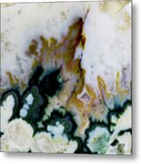 Forest Green Agate, Close-up Of Plumes Metal Print