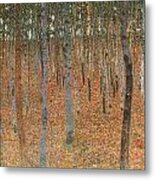 Forest Of Beech Trees Metal Print