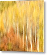 Forest Of Birch Metal Print