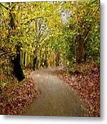 Forest Pathway Metal Print