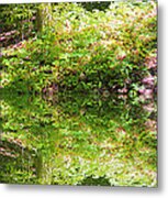 Forest Reflections Metal Print
