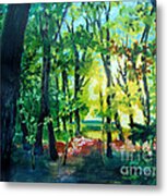 Forest Scene 1 Metal Print