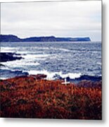 Forever By The Sea Metal Print
