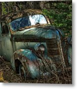 Forgotten In The Forest Metal Print