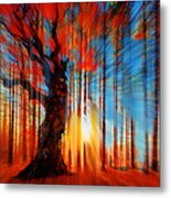 Forrest And Light Metal Print