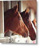Four Horses In Stables Metal Print