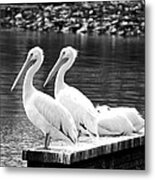 Four In A Row 2 Metal Print